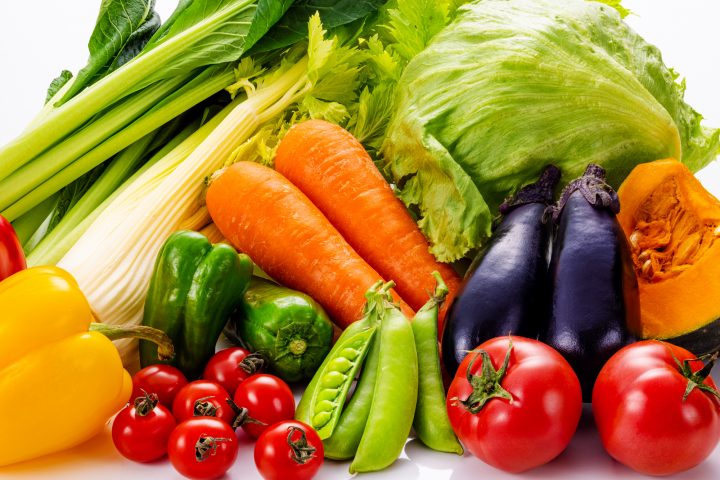 野菜・食材の見本